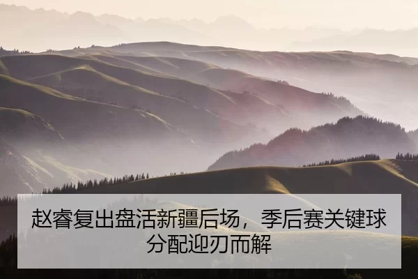 赵睿复出盘活新疆后场，季后赛关键球分配迎刃而解